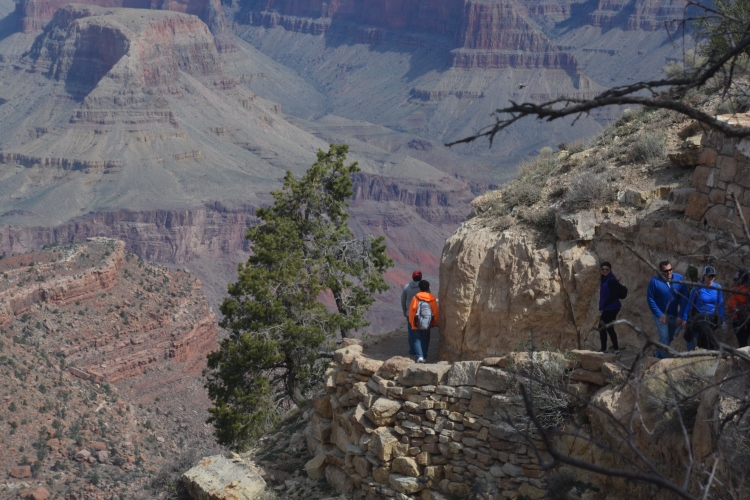 grand canyon south rim